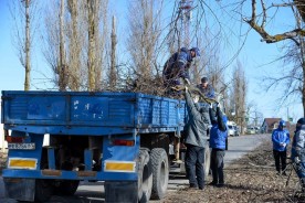 Экологический субботник, организованный атомщиками, объединил более 2000 волгодонцев 